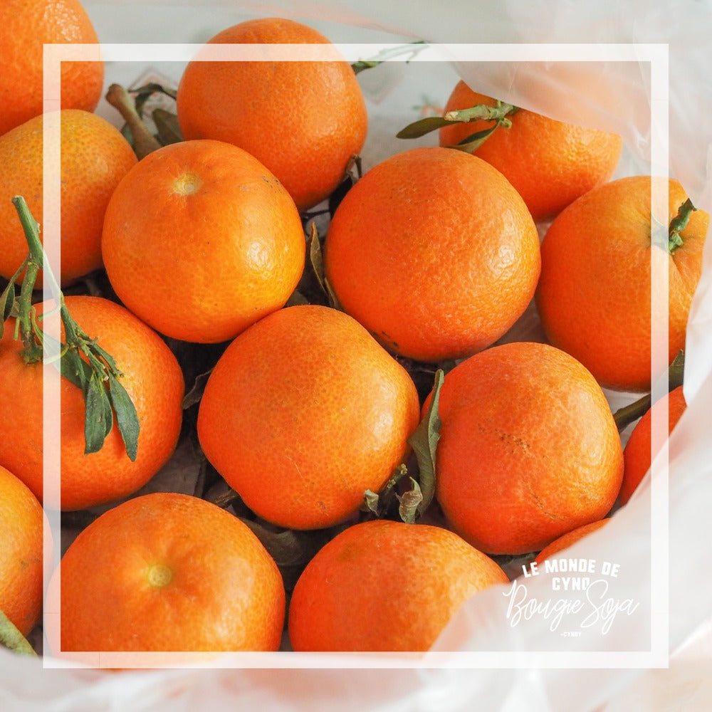 Chandelle -  Tangerine