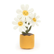 Peluche - Marguerites