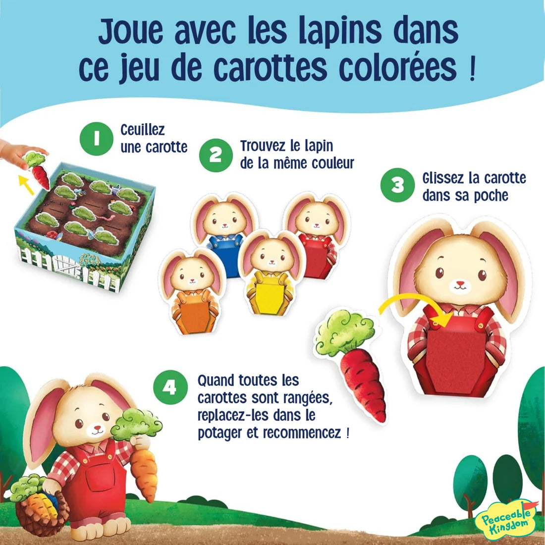 Jeu - C'est dans la poche