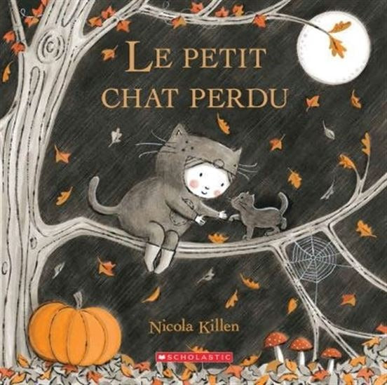 Livre - Le petit chat perdu