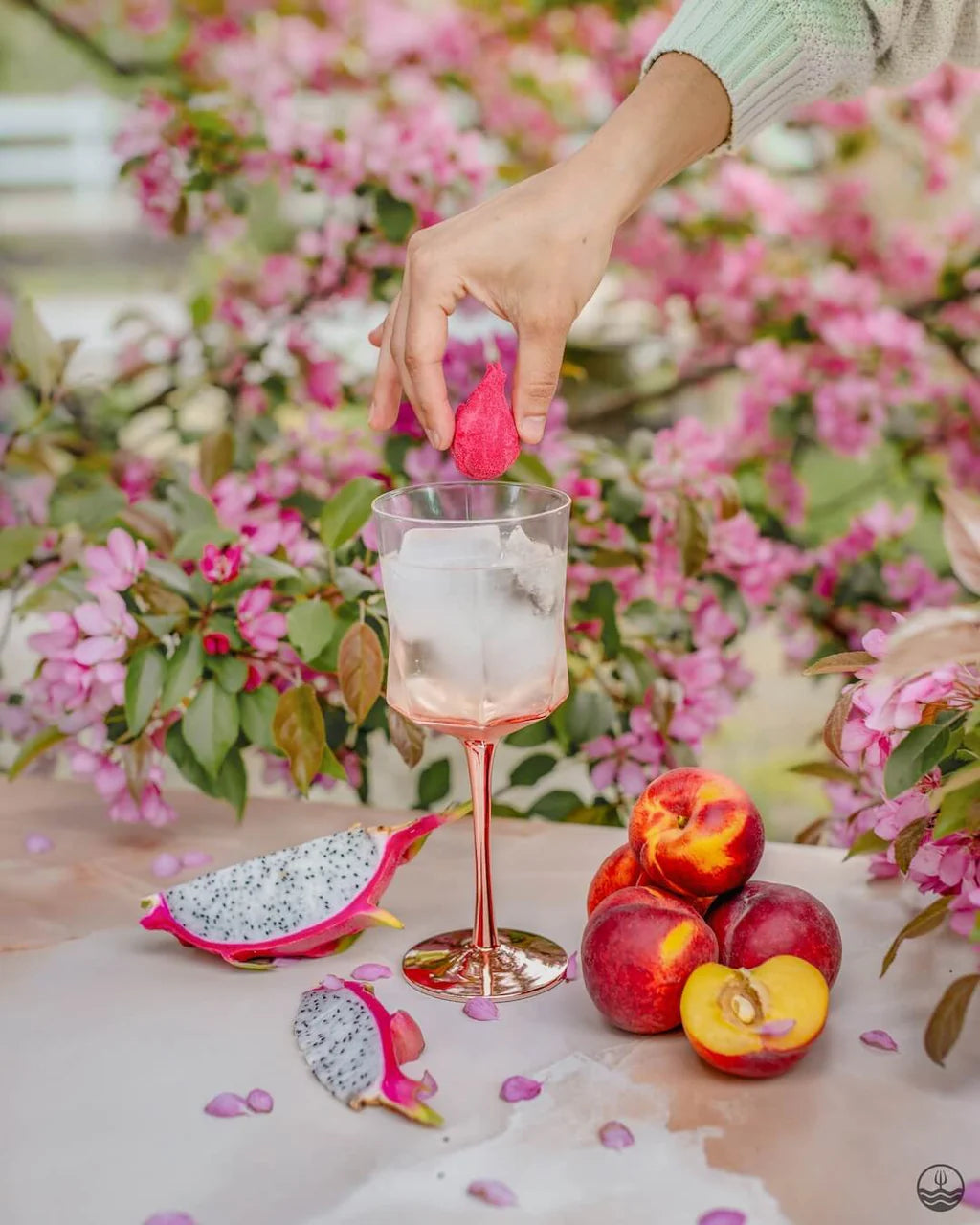 Bombes à Cocktail - Fruit du dragon, pêche et fleur de cerisier boîte de 6