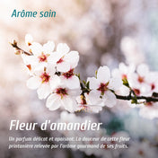 Eau de linge recharge - Fleur d'amandier