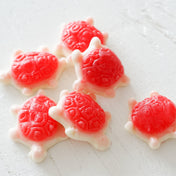 Bonbons - Les tortues de mer Notre coup de coeur