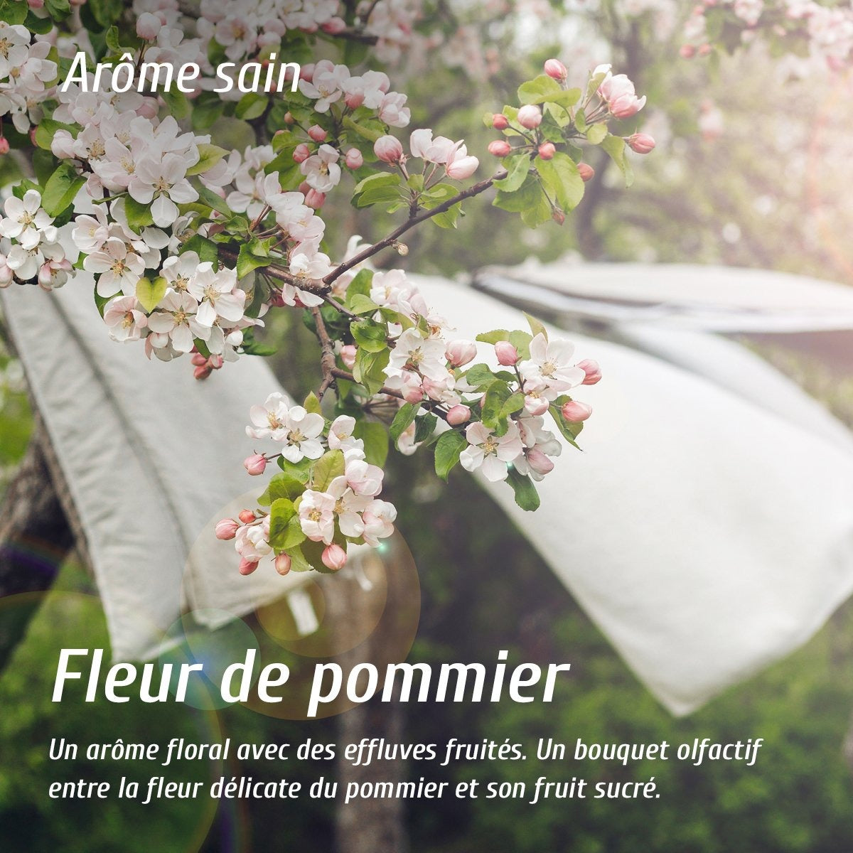 Eau de linge - Fleur de pommier