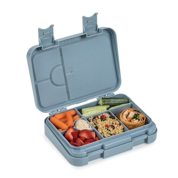 Bento lunch box - Dino Ville