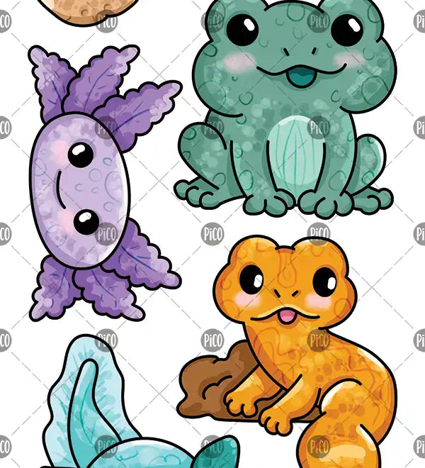 425-L_axolotl-et-la-grenouille.webp