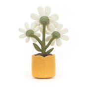 Peluche - Marguerites