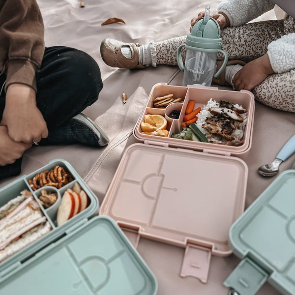 Bento lunch box - Dino Ville