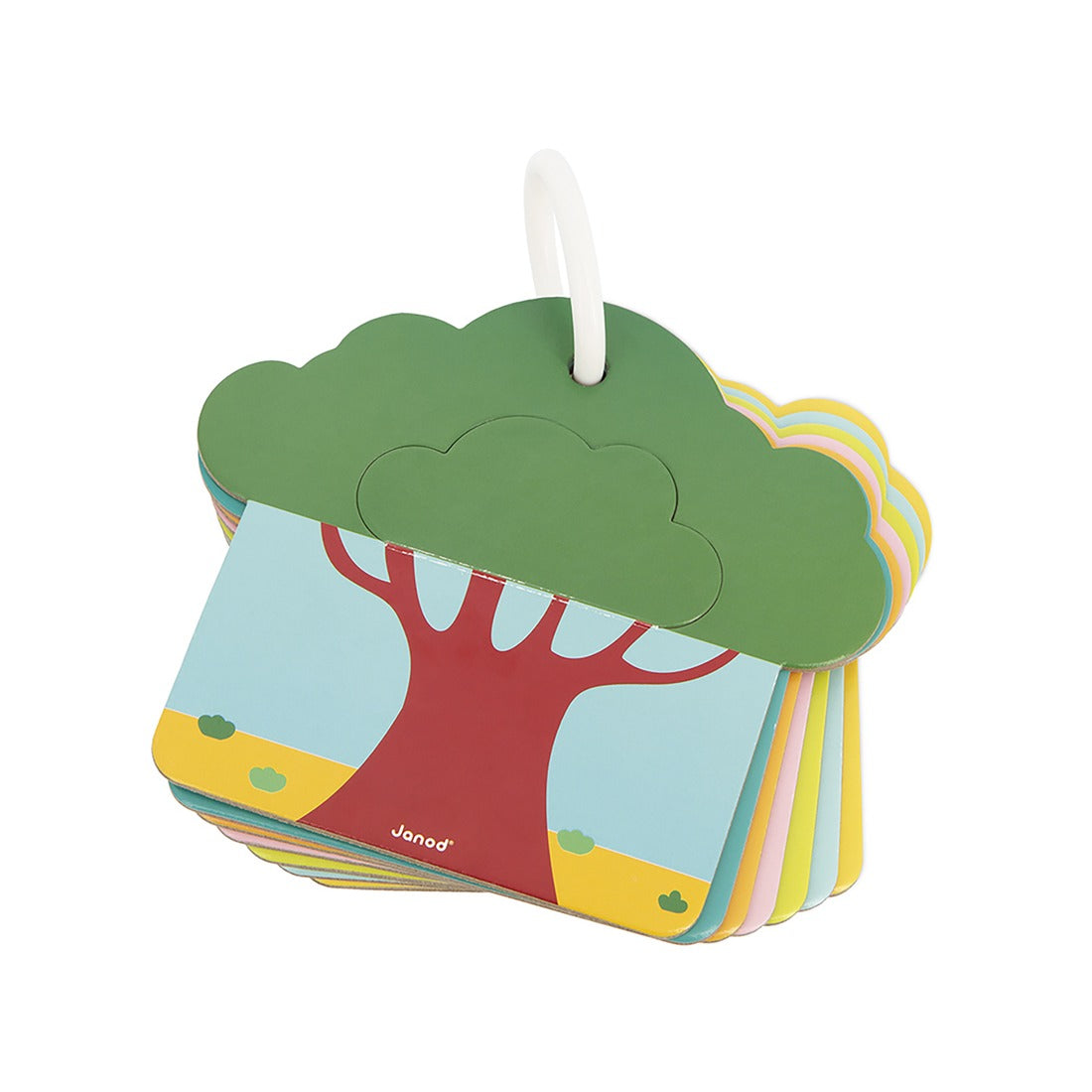 Cartes tactiles -  Savane