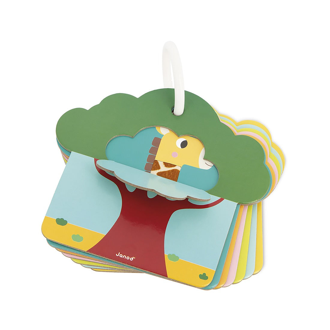 Cartes tactiles -  Savane