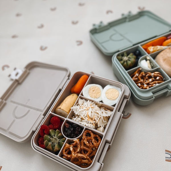 Bento lunch box - Dino Ville