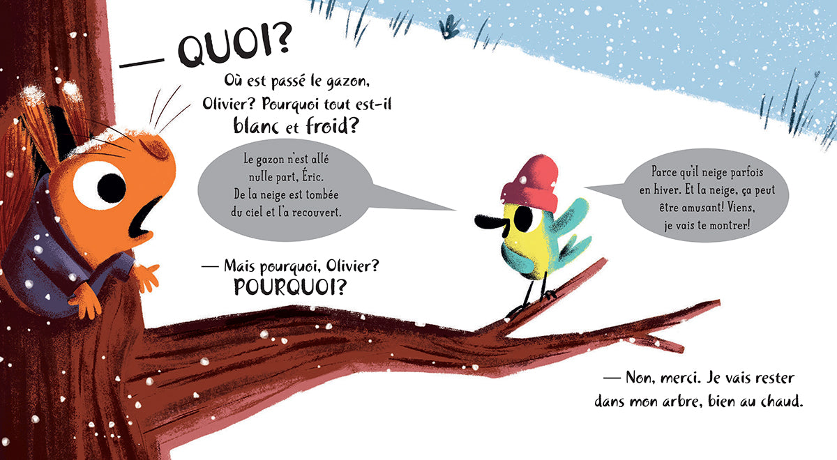 Livre - Le voleur de neige