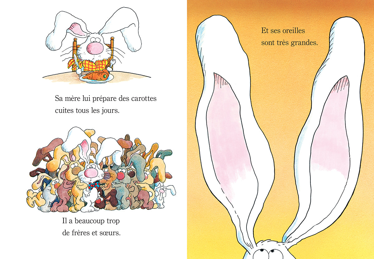 Livre - Pas facile d'être un lapin !