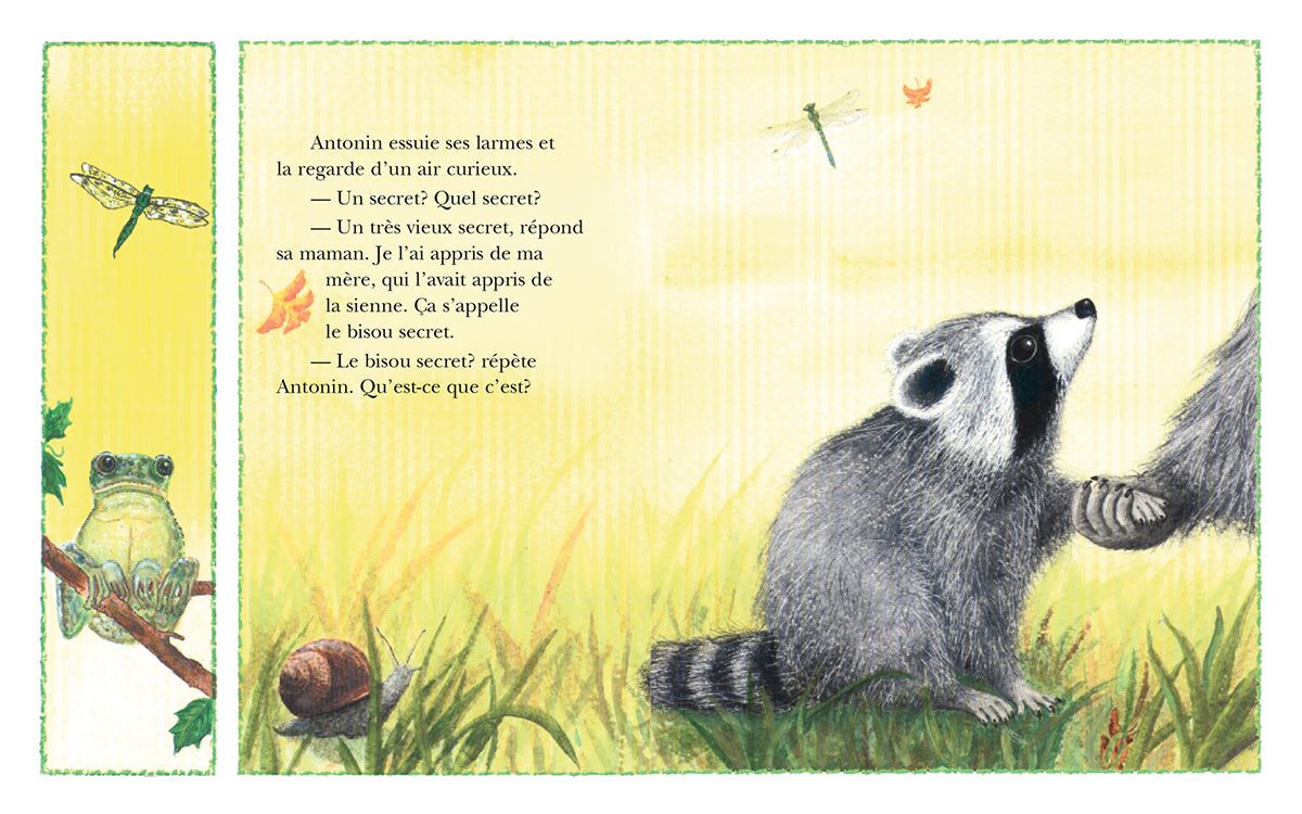 Livre - Bisou secret