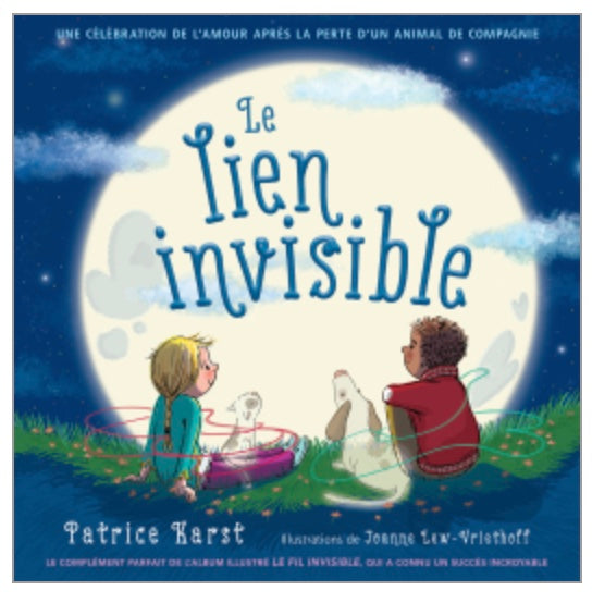 Livre - Le lien invisible