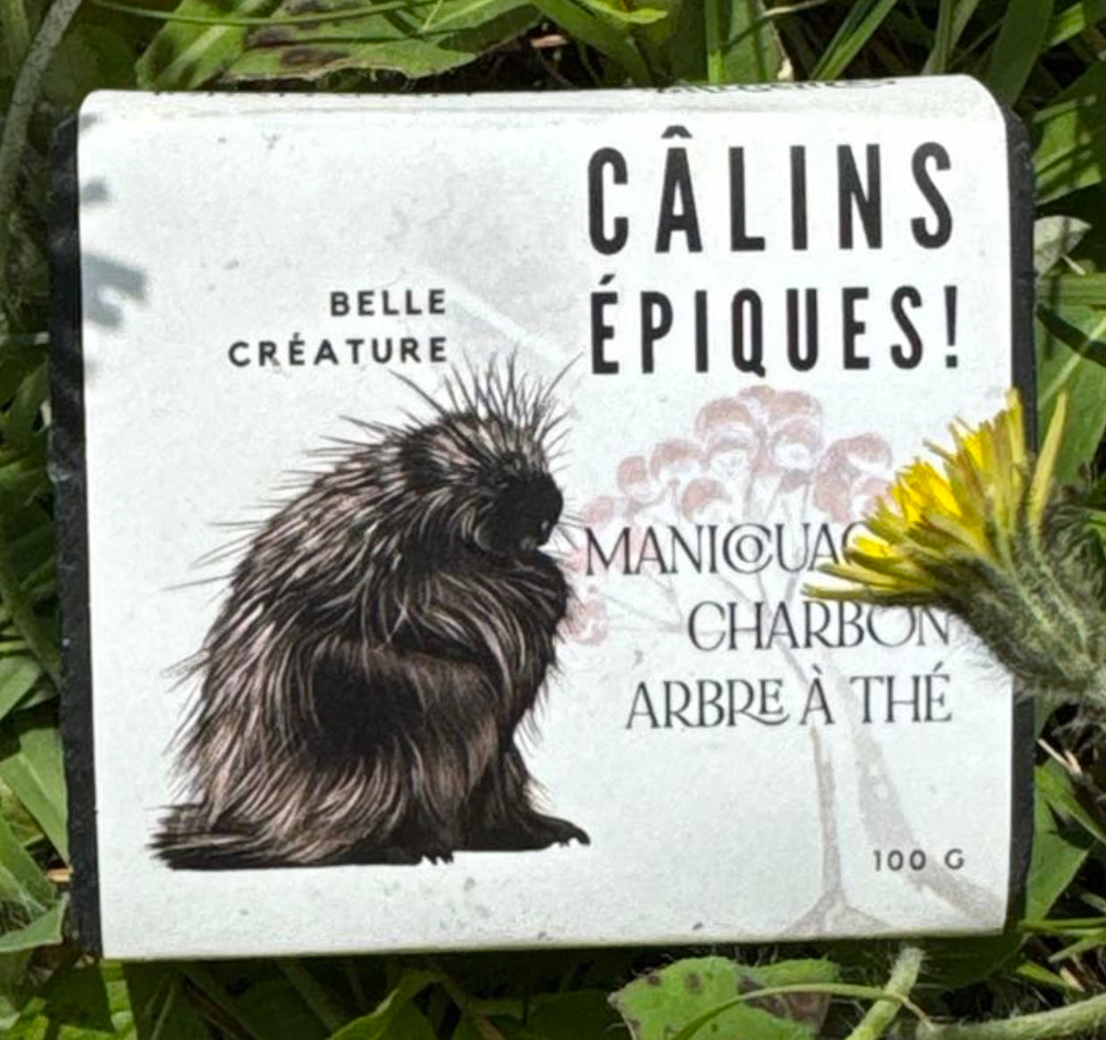 Savon - Câlin Épique - argile de manicouagan, charbon, cumin noir et théier)