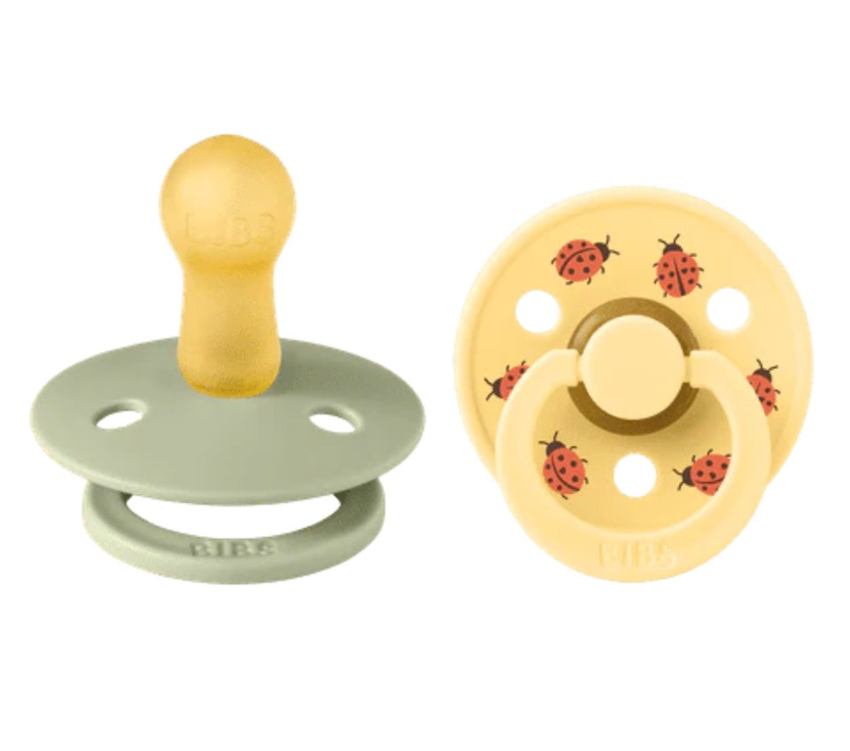 Suces - BIBS - Coccinelle