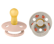 Suces - BIBS - Coccinelle
