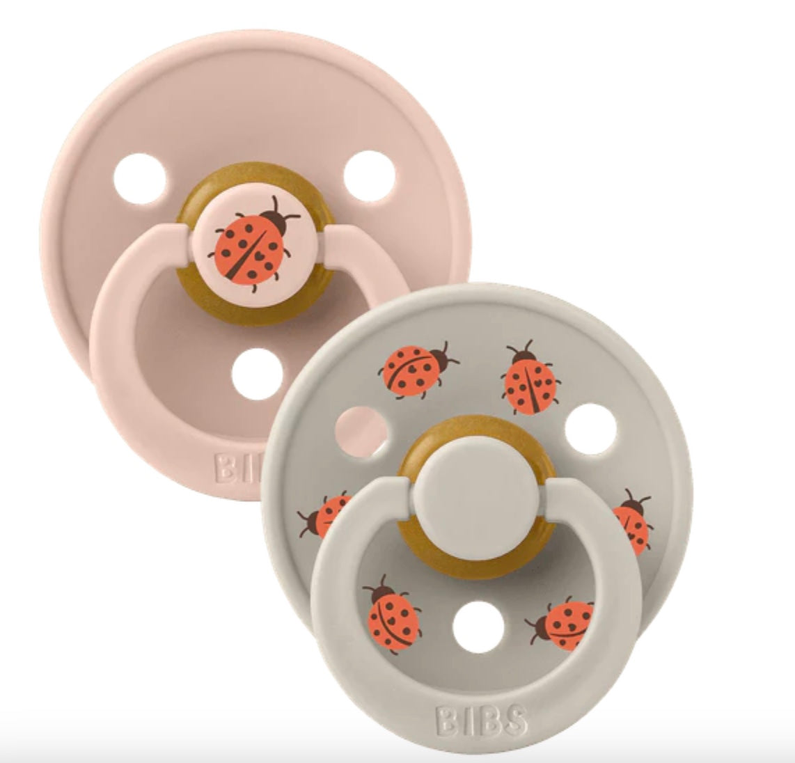 Suces - BIBS - Coccinelle