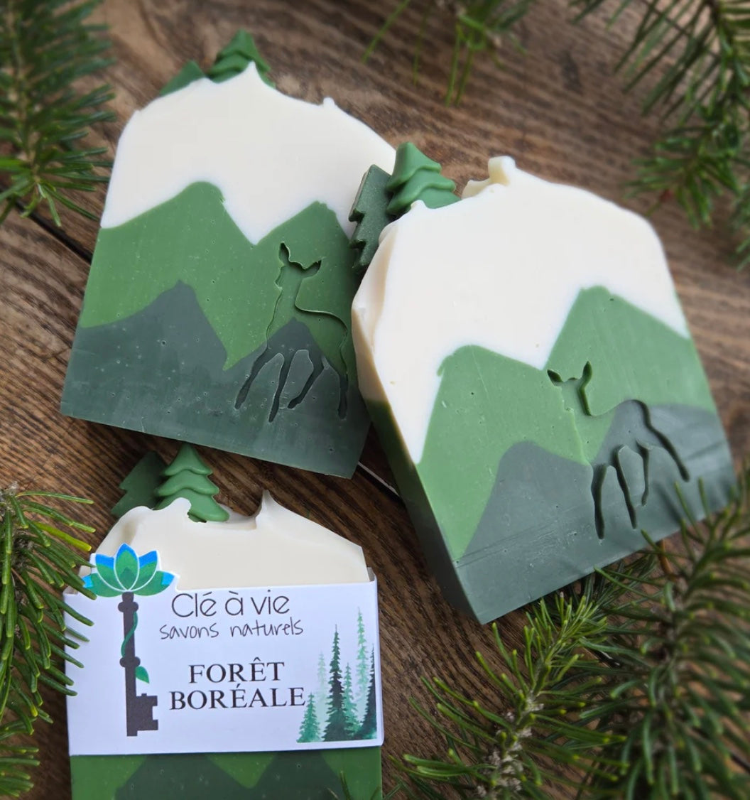 Savon - Forêt boréale exfoliant