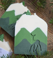 Savon - Forêt boréale exfoliant