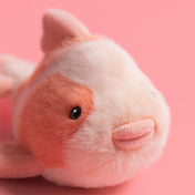 Peluche - Fancy Carp DISPO MI JUIN Réservation possible