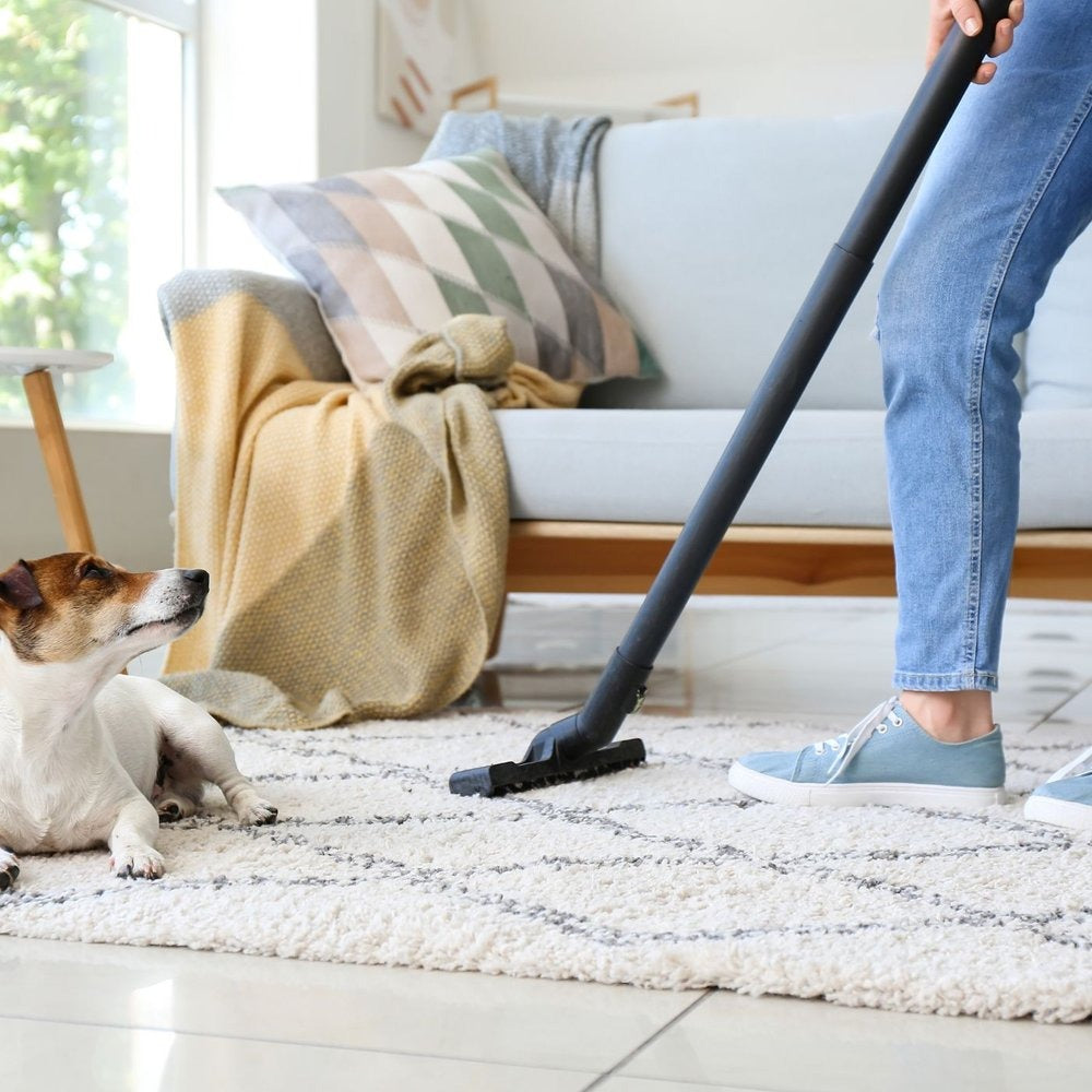 Rafraîchisseur de tapis - Format découverte