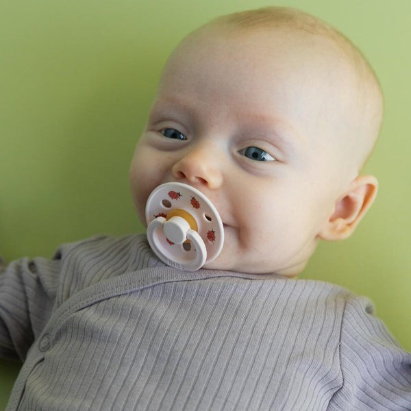 Suces - BIBS - Coccinelle