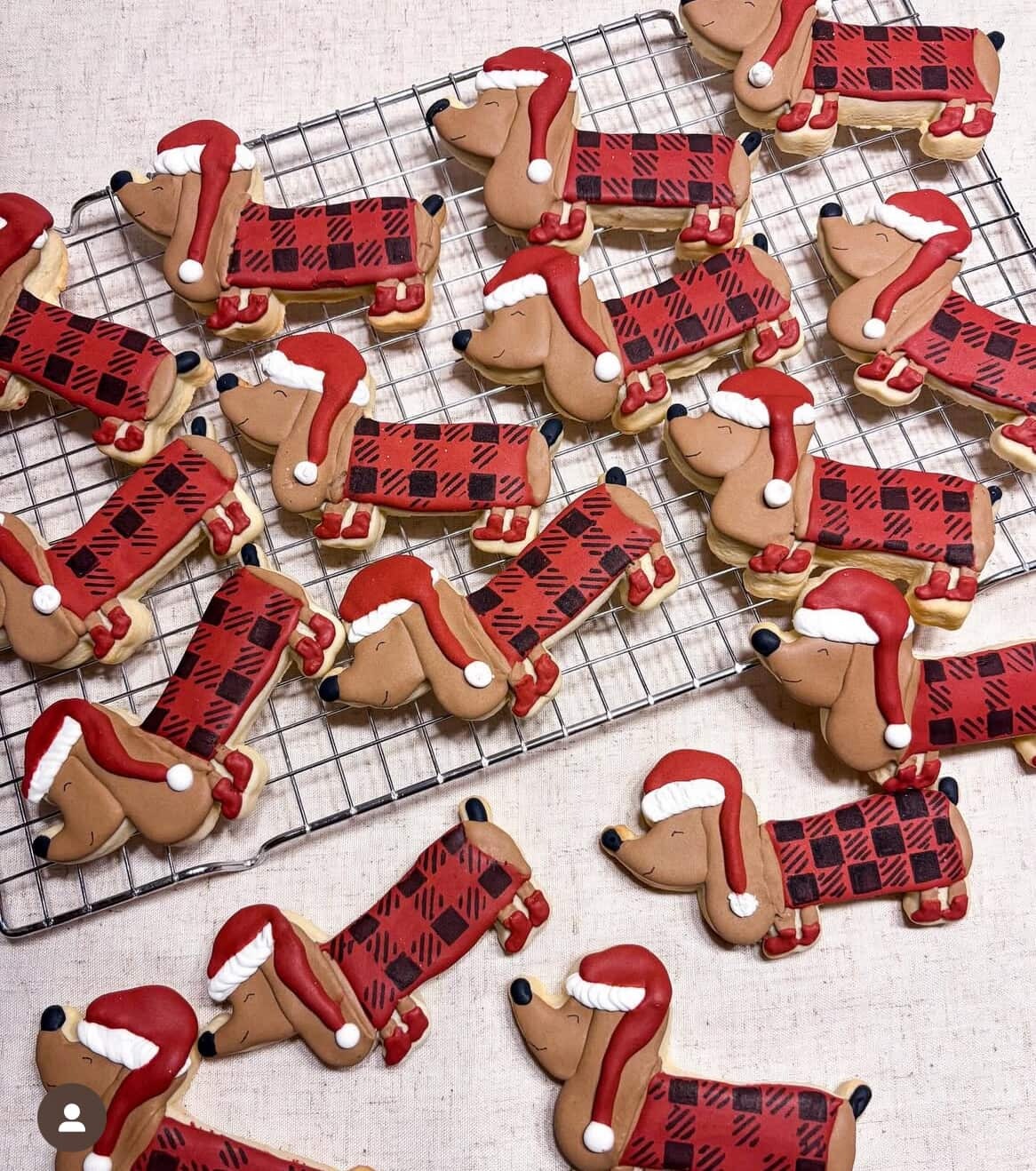 PRÉ-COMMANDE Biscuit Noël 2025 - Chiens de Noël