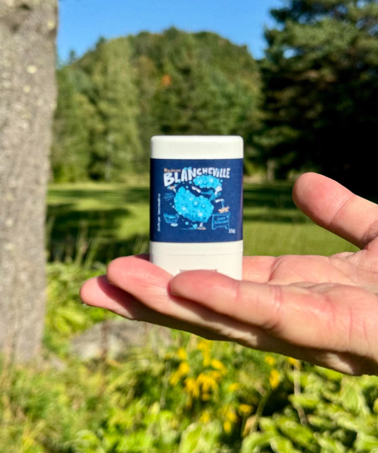 blancheville.jpg