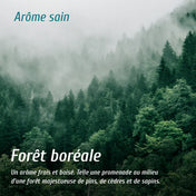 Diffuseur d'arôme - Forêt boréale