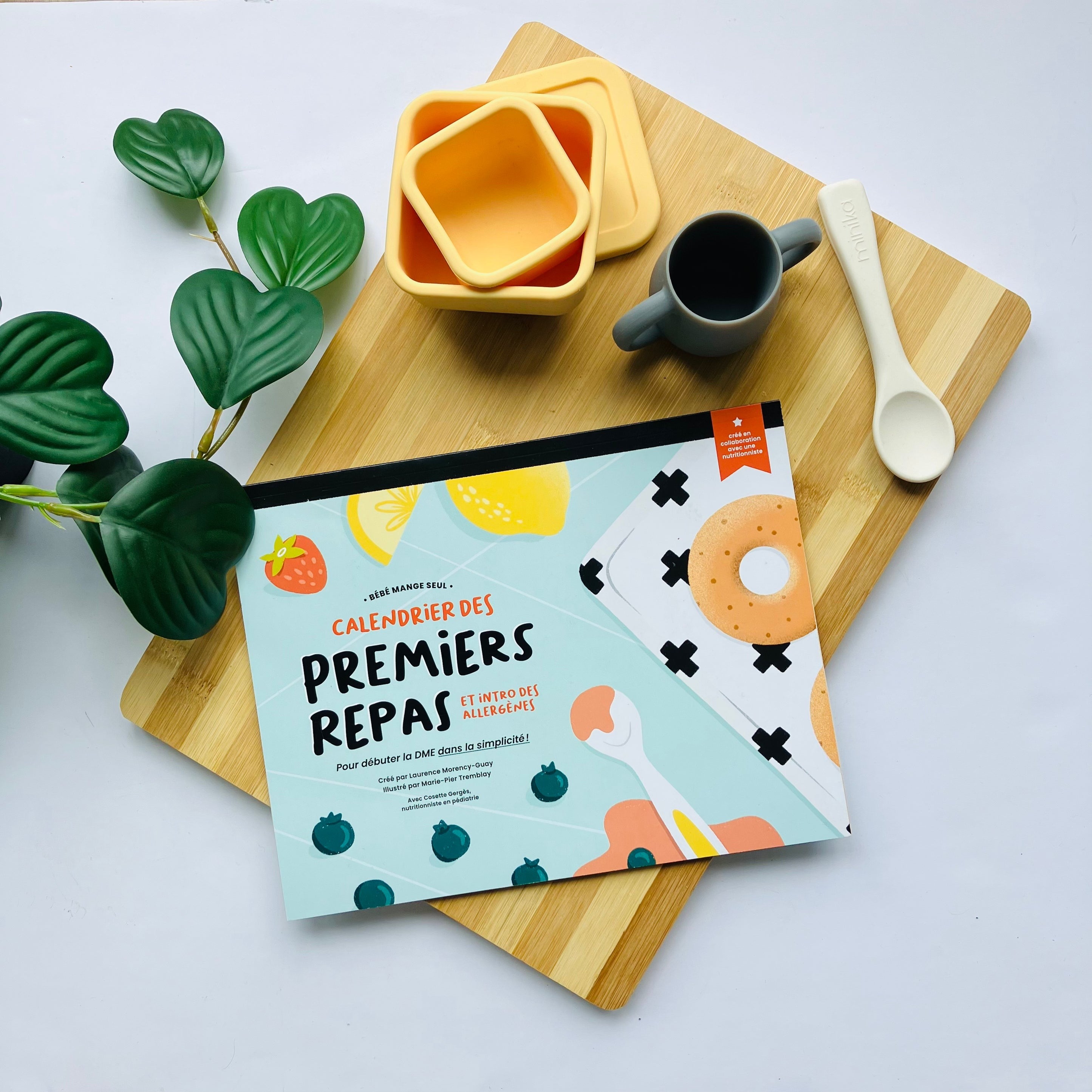 Calendrier des premiers repas et introduction des allergènes