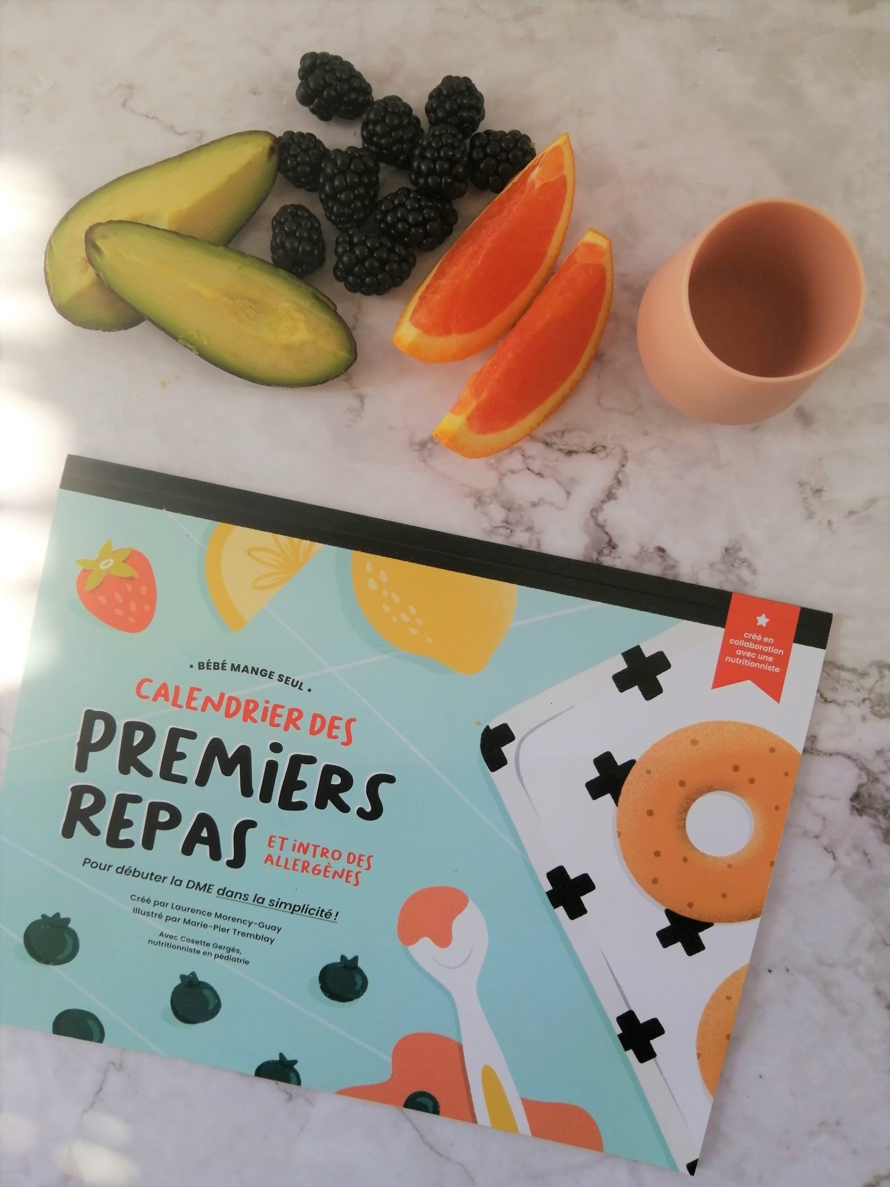 Calendrier des premiers repas et introduction des allergènes