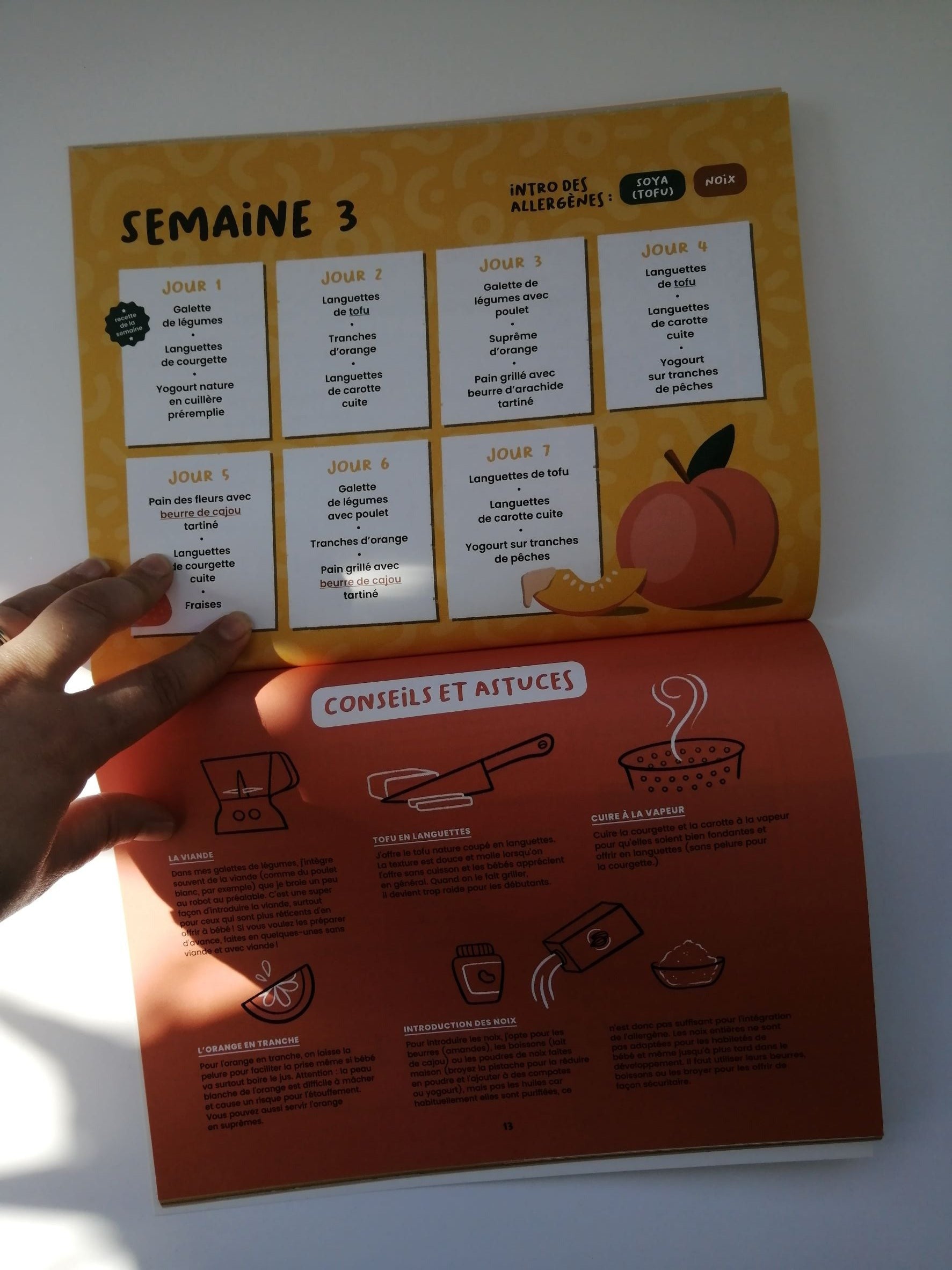 Calendrier des premiers repas et introduction des allergènes