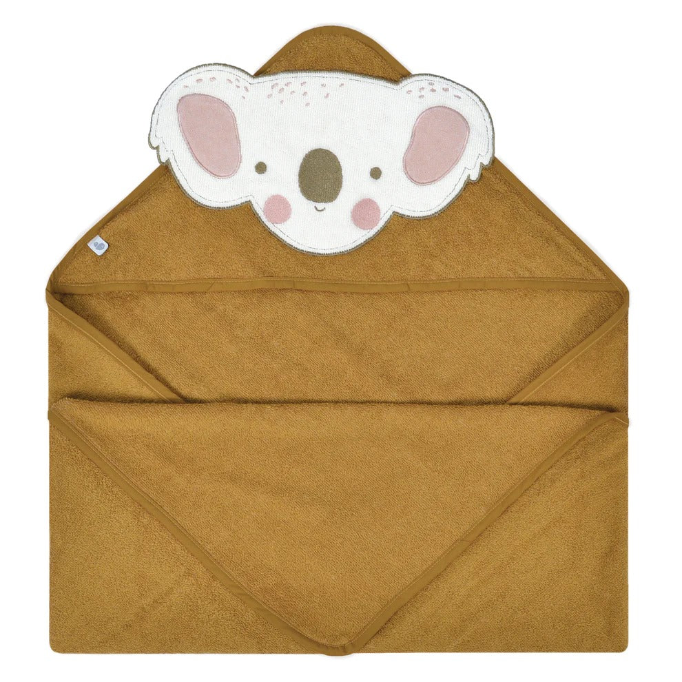 koala1.jpg