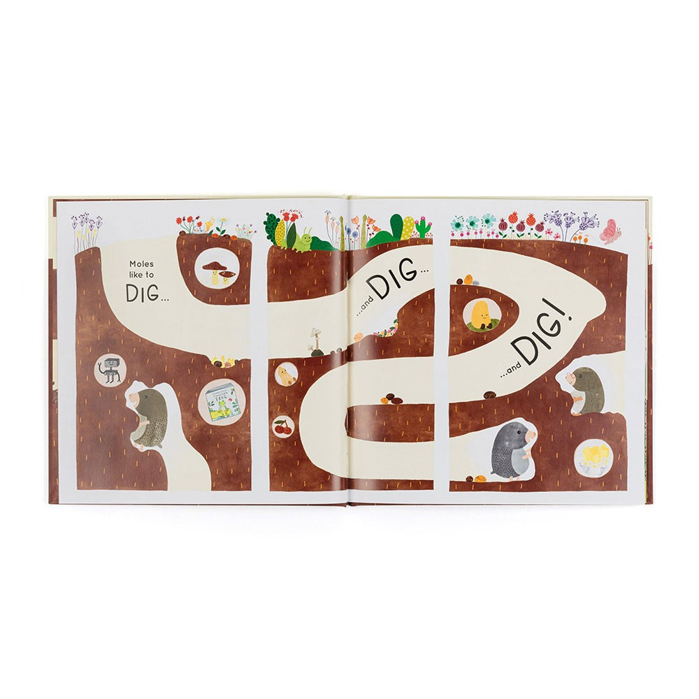Livre - Muswell Mole and the Buried Treasure Book
