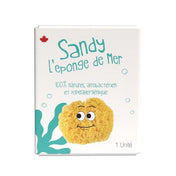 Sandy l'éponge de mer