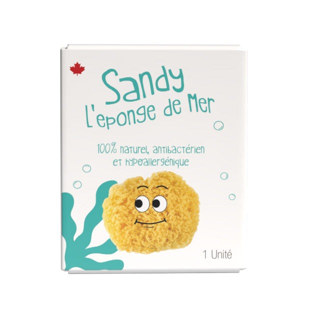 Sandy l'éponge de mer