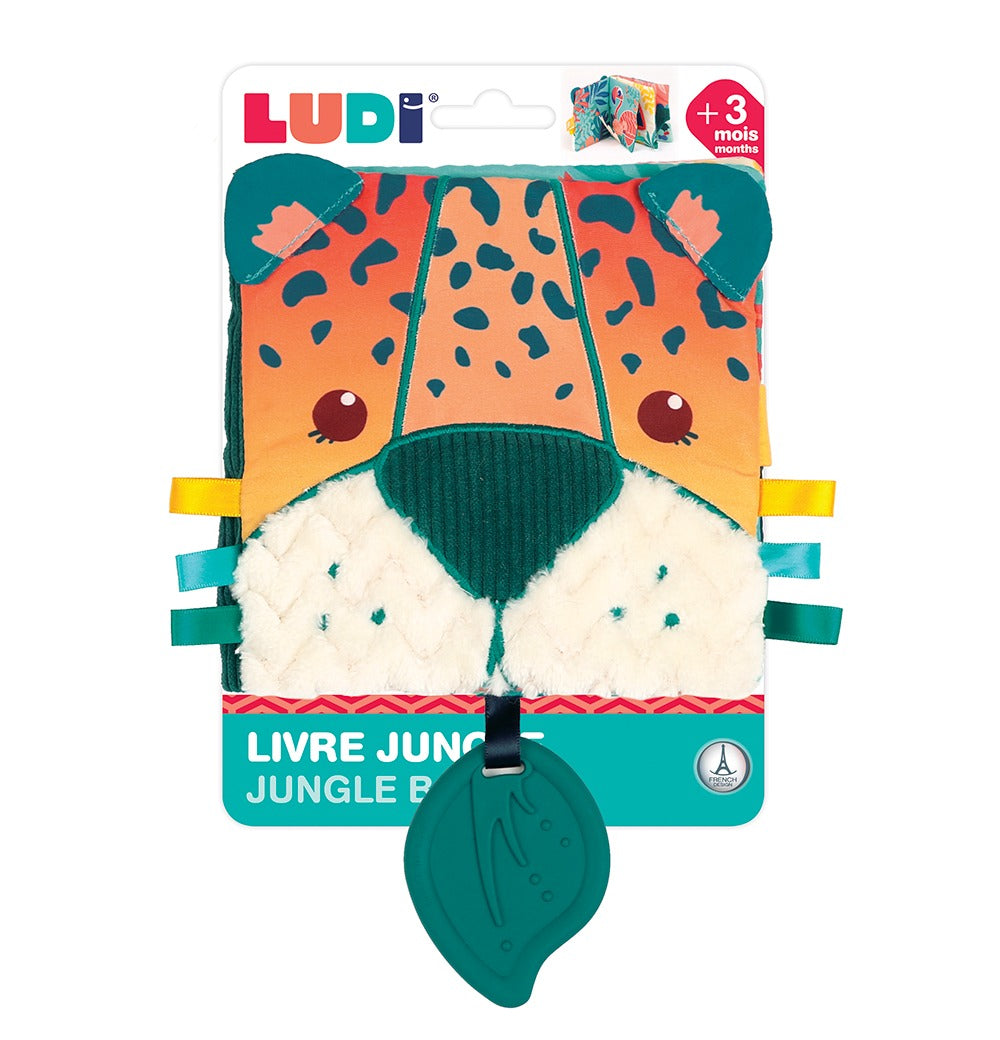 ludi1.jpg