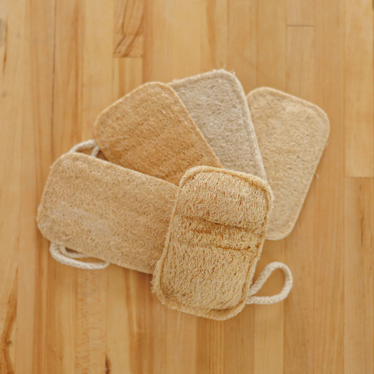 luffa2.webp