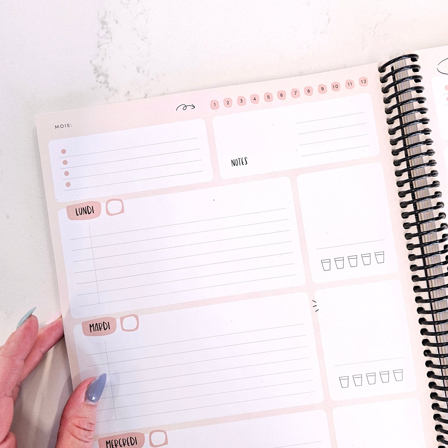 Agenda 4e édition _ non-daté - Maëlle