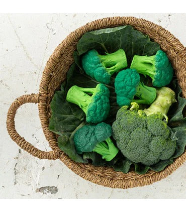 Jouet de dentition - Brocoli