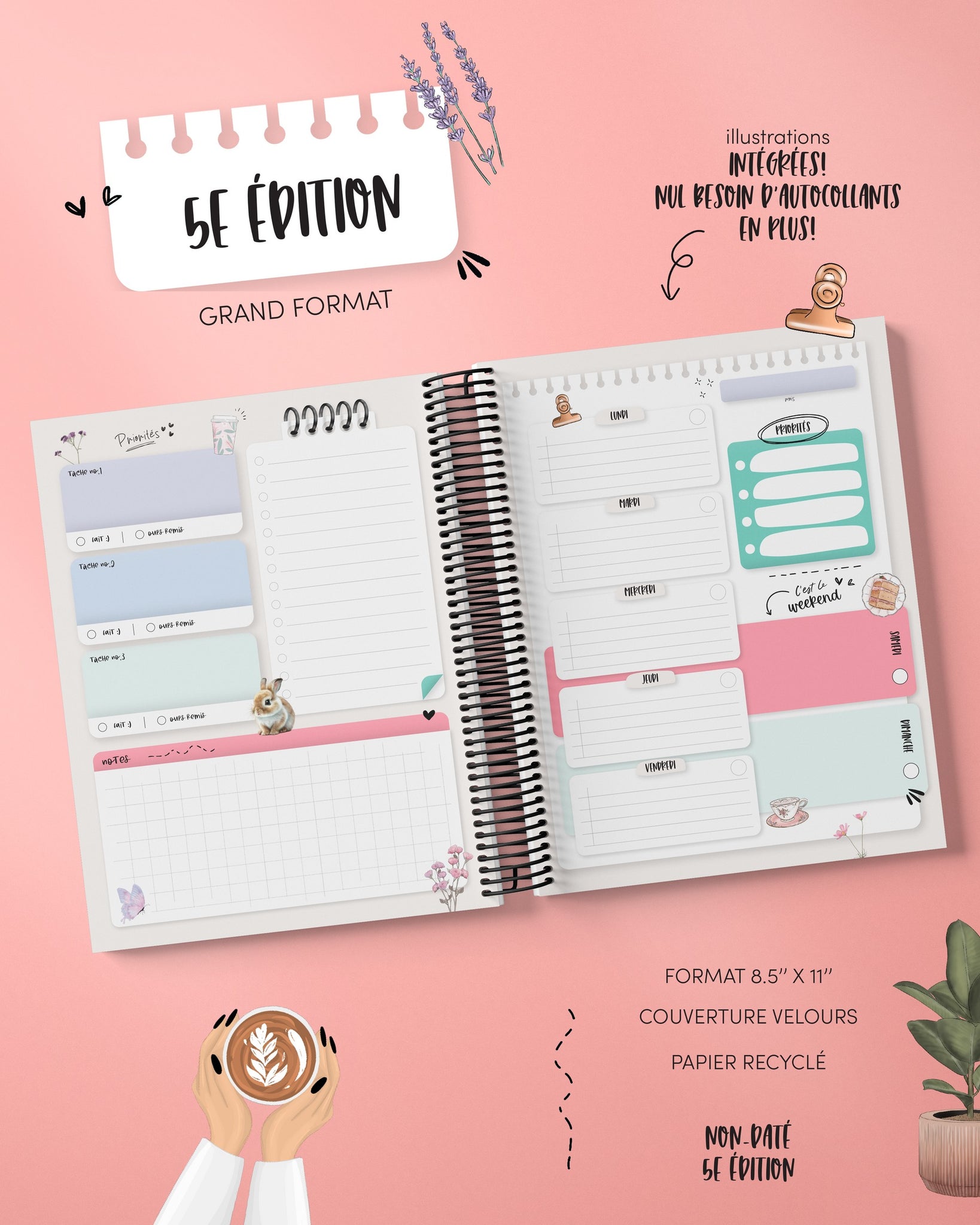 Agenda 5e édition - non-daté - Faé