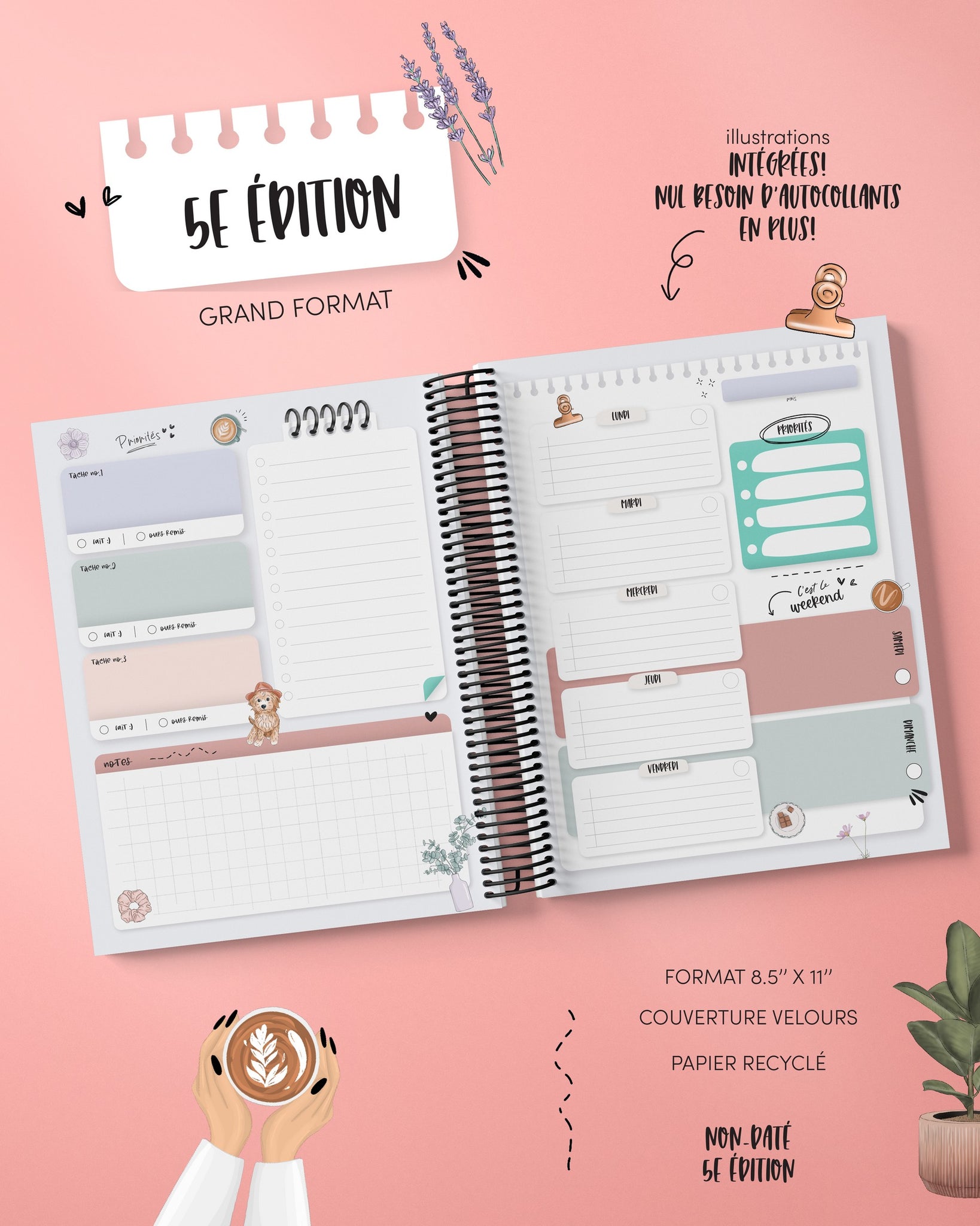Agenda 5e édition - non-daté - Faé