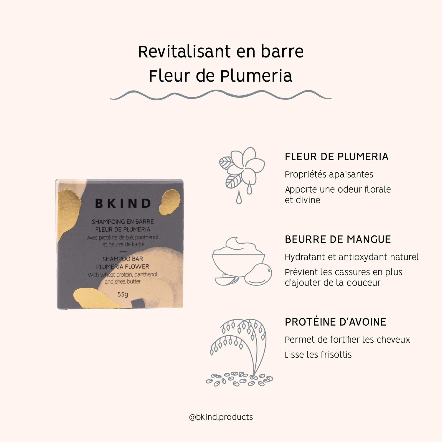 plumerierevi.jpg
