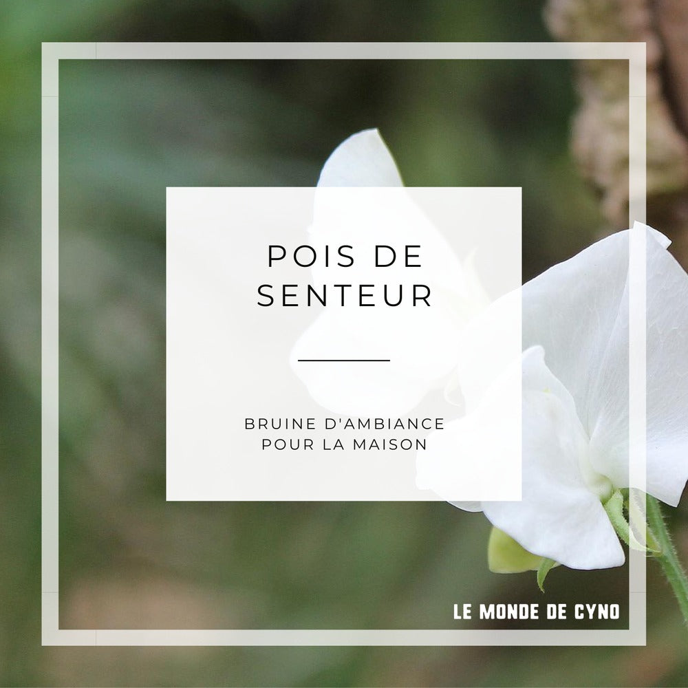Bruine d'ambiance - Pois de senteur