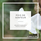 Bruine d'ambiance - Pois de senteur