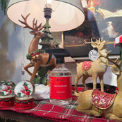 Coffret temps des Fêtes