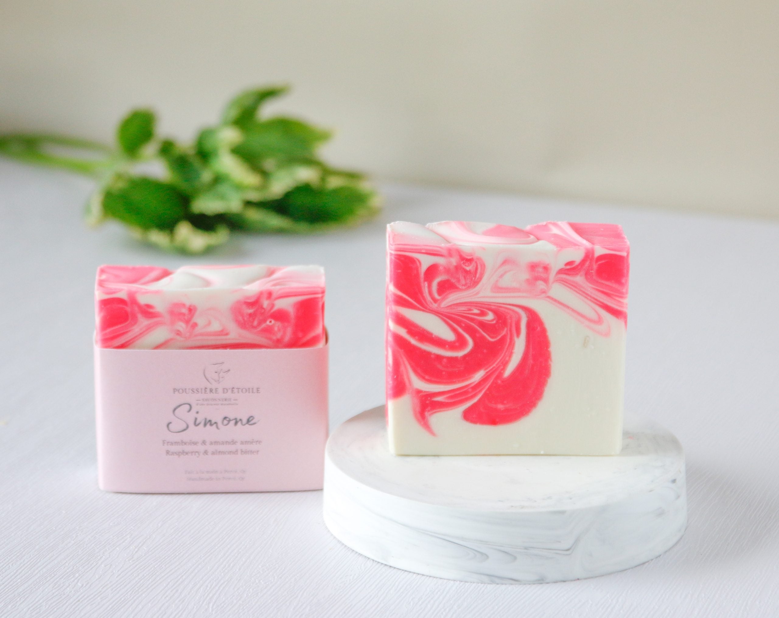 savon_87681eb9-6d2f-4ccc-95ae-3087772b6424.jpg