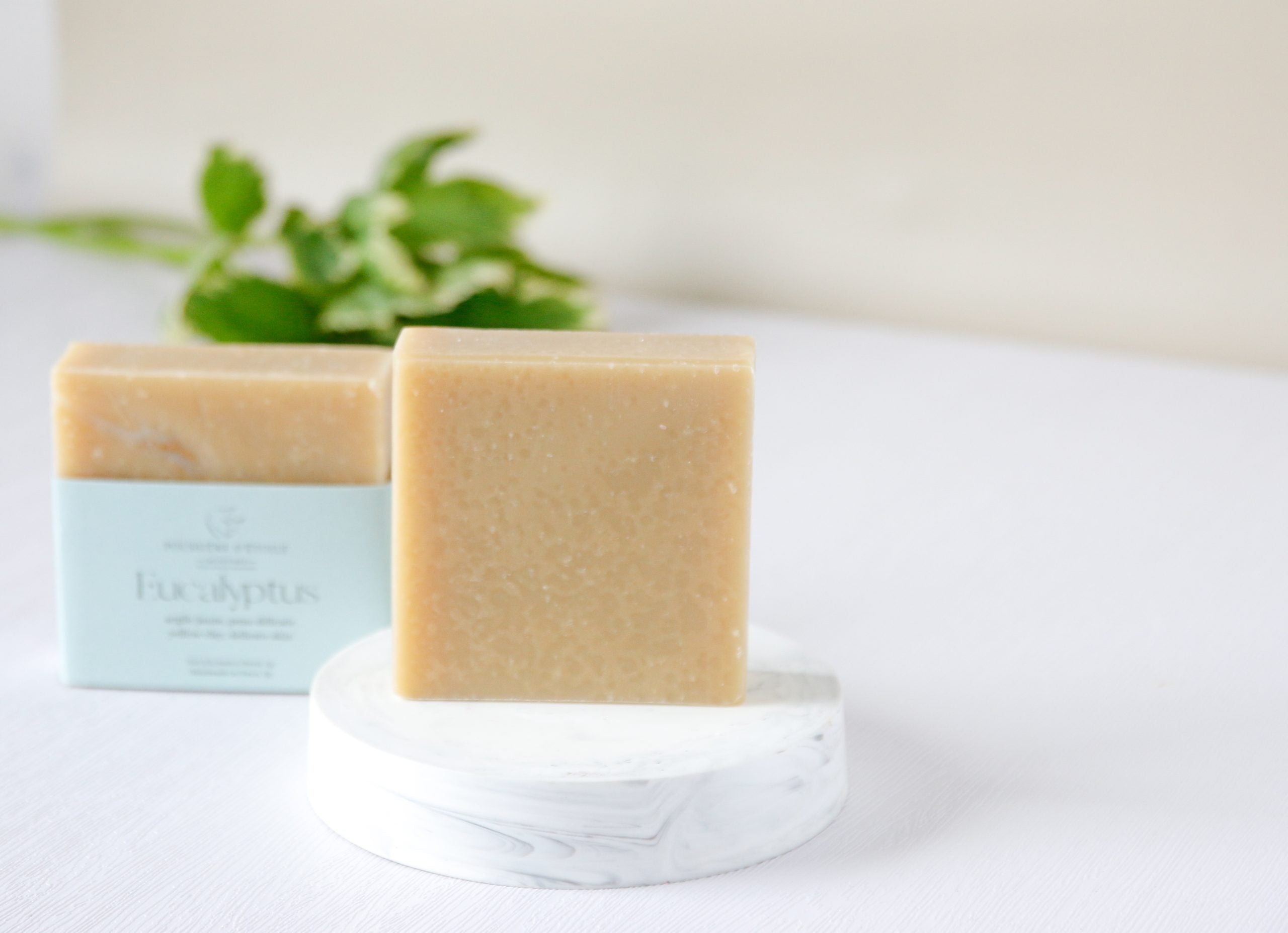 Savon - Eucalyptus